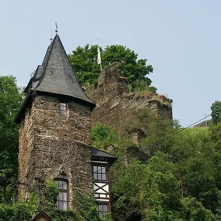 Ferienhaus Frohnatur